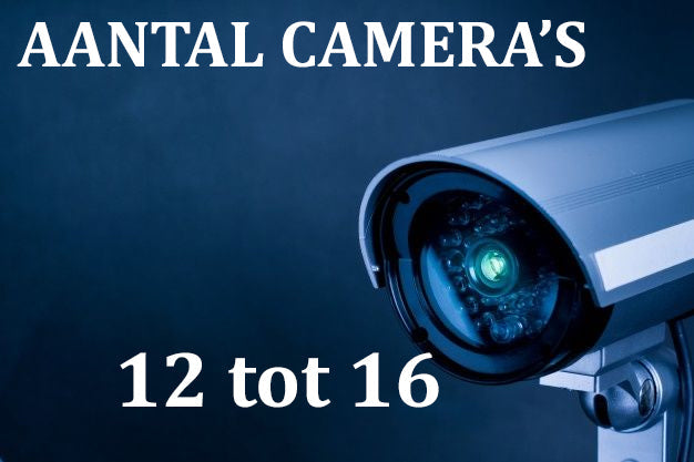 camera systeem met 12 tot 16 camera's